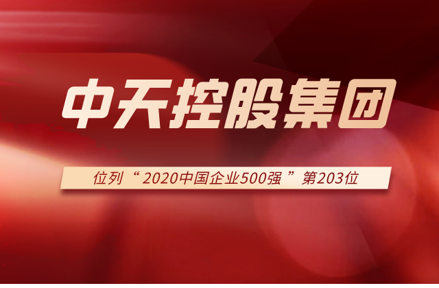 AG贵宾会集团列2020中国企业500强第203位！